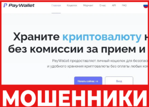 PayWallet лицевая сторона скрин