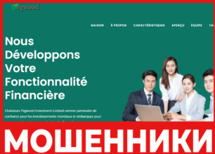 Pegwood investment Limited лицевая сторона скрин