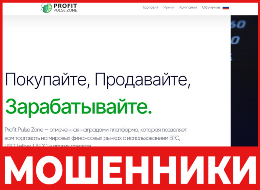 Profit Pulse Zone лицевая сторона скрин