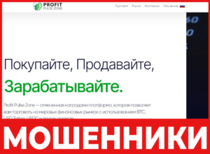 Profit Pulse Zone лицевая сторона скрин