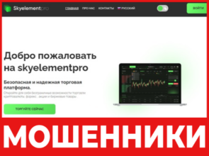 SkyElementPro лицевая сторона скрин