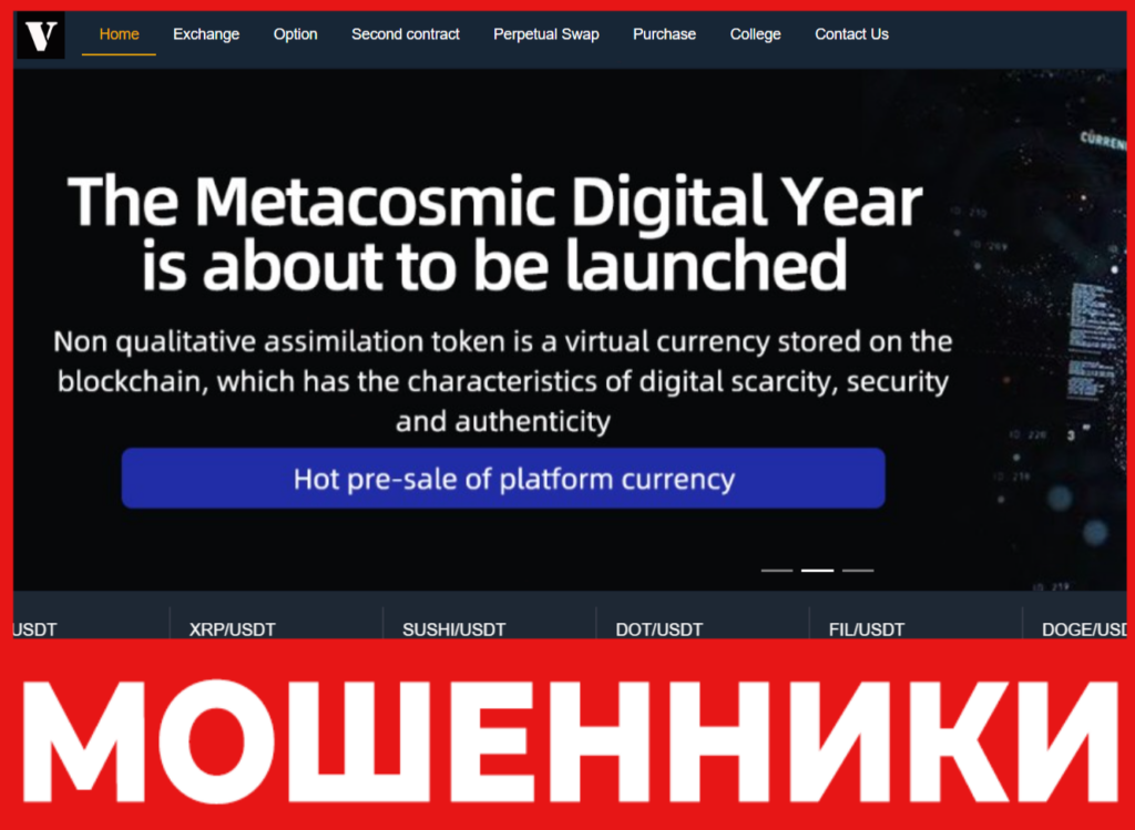 Voucoin лицевая сторона скрин