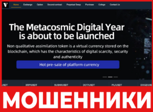 Voucoin лицевая сторона скрин