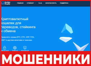 WalletProfit лицевая сторона скрин