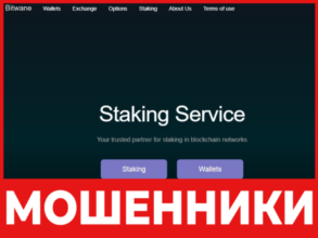 Bitwane лицевая сторона скрин