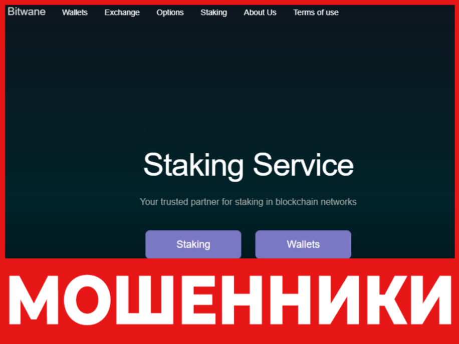 Bitwane лицевая сторона скрин