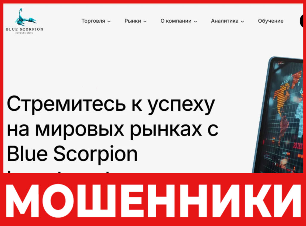 Blue Scorpion Invest лицевая сторона скрин