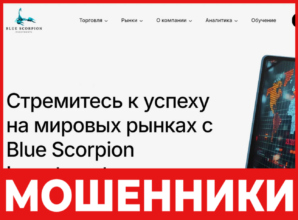 Blue Scorpion Invest лицевая сторона скрин