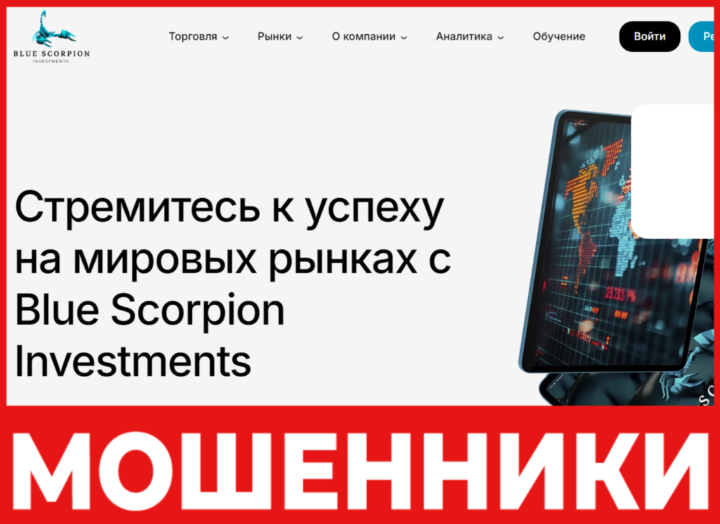 Blue Scorpion Investments лицевая сторона скрин