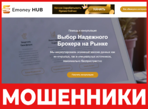 EmoneyHub лицевая сторона скрин