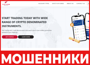 Falcon Broker лицевая сторона скрин
