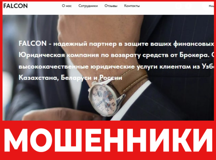 Falcon лицевая сторона скрин