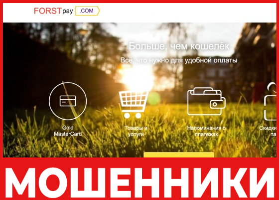 Forst Pay лицевая сторона скрин