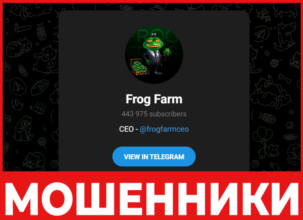 Frog Farm лицевая сторона скрин