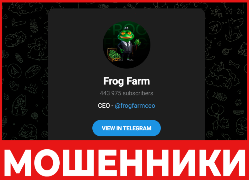 Frog Farm лицевая сторона скрин