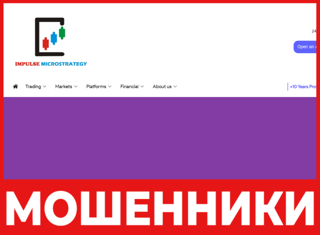 Impulsemicrostrategy лицевая сторона скрин