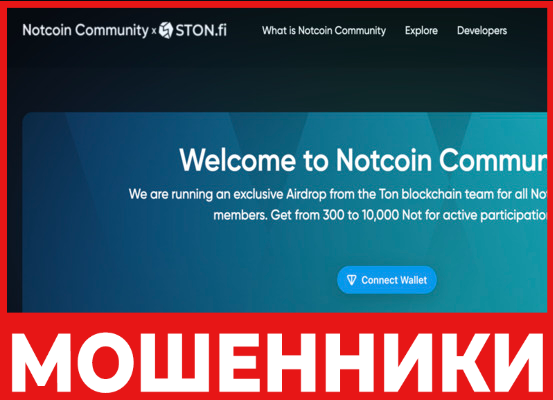 Notxfi лицевая сторона скрин