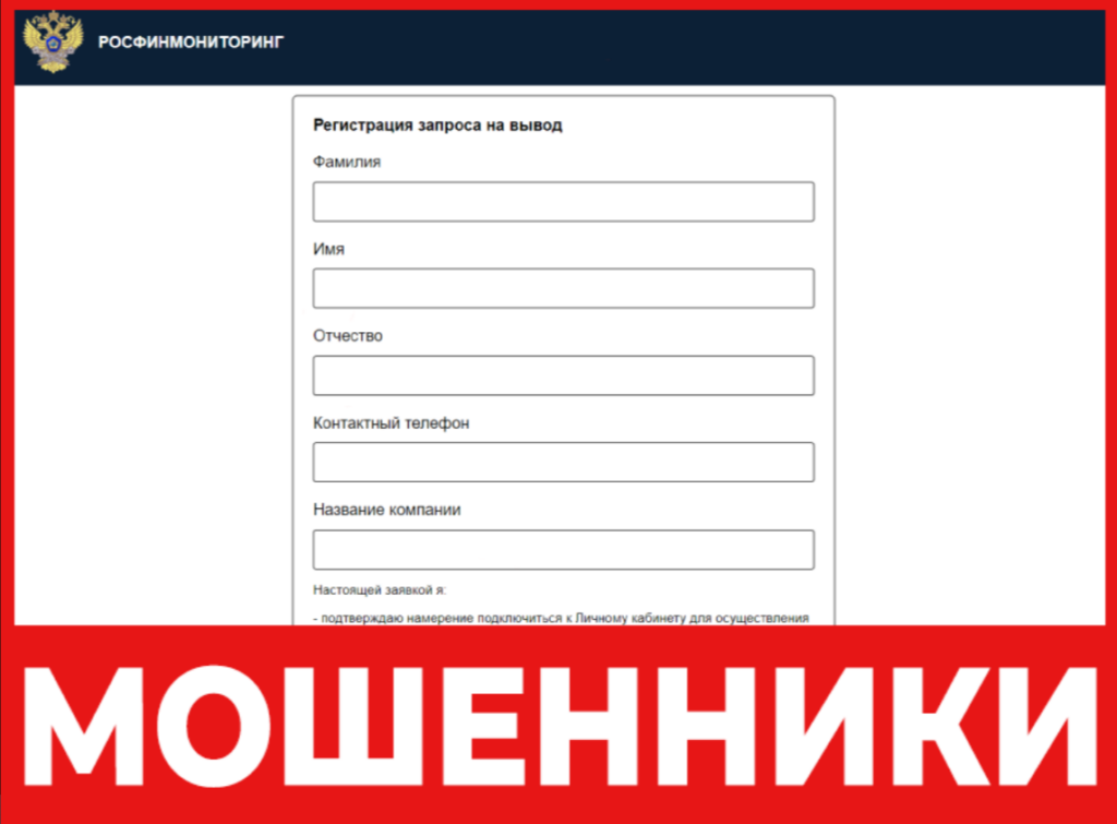 РОСФИНМОНИТОРИНГ лицевая сторона скрин