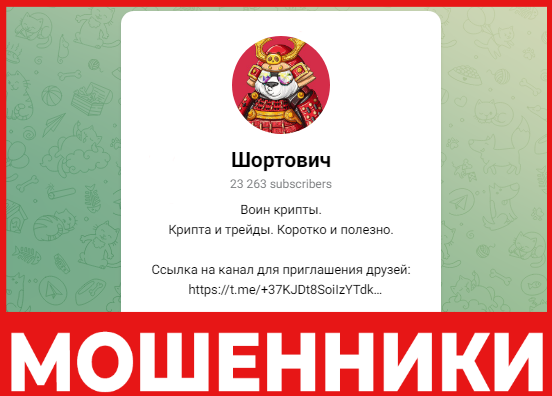 Шортович лицевая сторона скрин