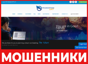 Tradeoption247 лицевая сторона скрин
