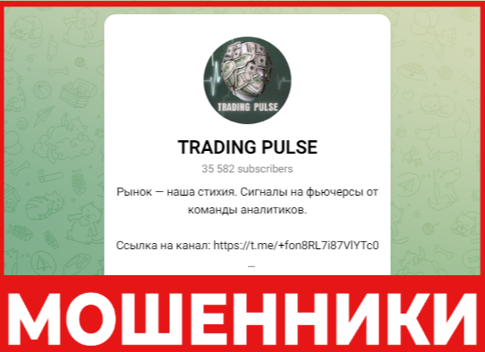 TRADING PULSE лицевая сторона скрин