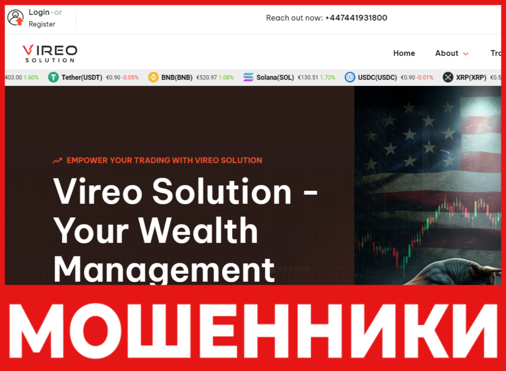 Vireo Solution лицевая сторона скрин