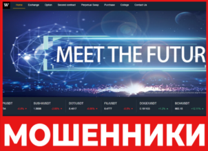 WOMCOIN лицевая сторона скрин