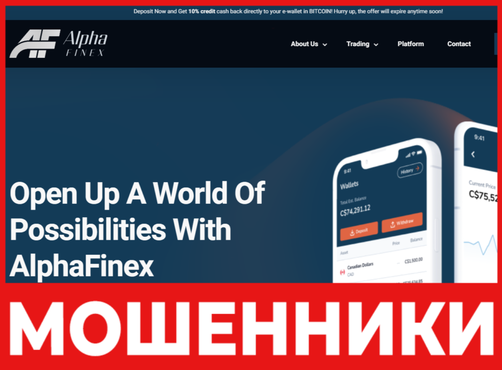 Alpha Finex лицевая сторона скрин