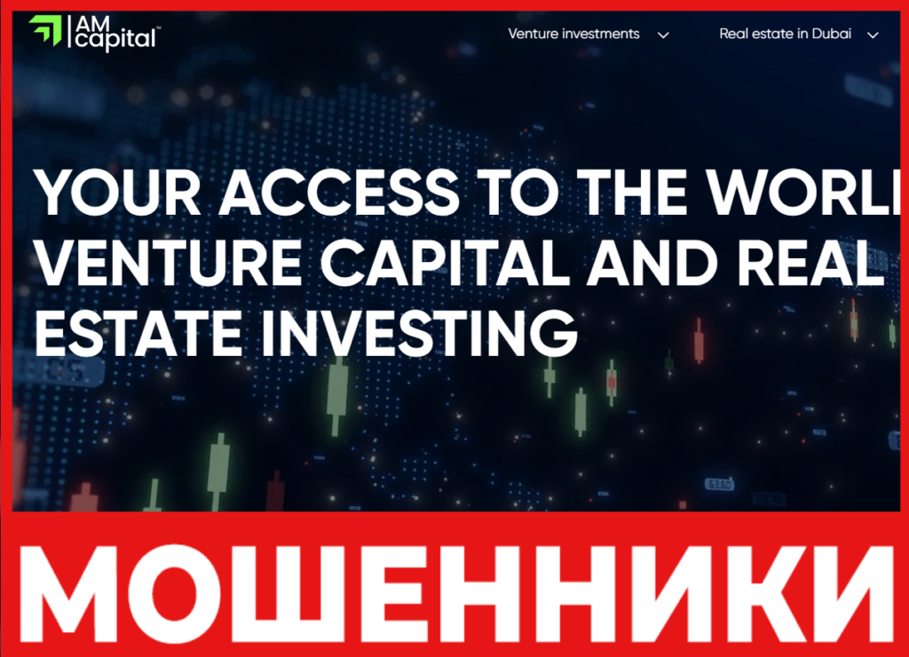 AM CAPITAL лицевая сторона скрин
