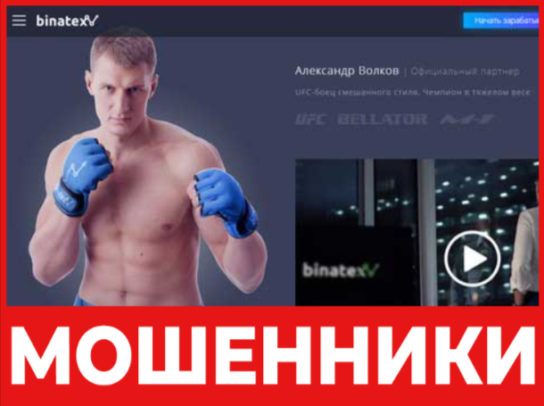 Binatex лицевая сторона скрин