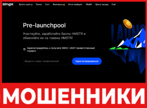 BingX лицевая сторона скрин