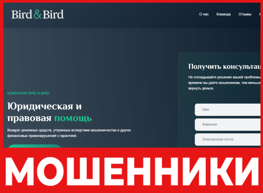 Bird & Bird лицевая сторона скрин