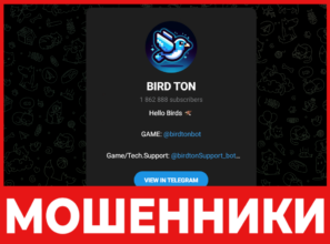 Bird Ton лицевая сторона скрин