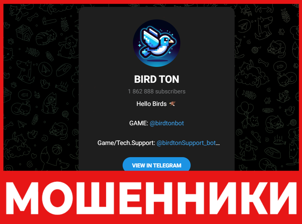 Bird Ton лицевая сторона скрин