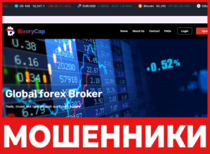 Bixery Cap лицевая сторона скрин