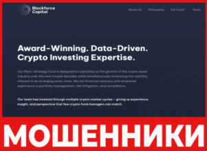 Blockforce Capital лицевая сторона скрин