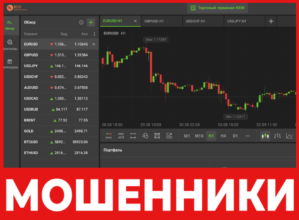 Byd Capital лицевая сторона скрин
