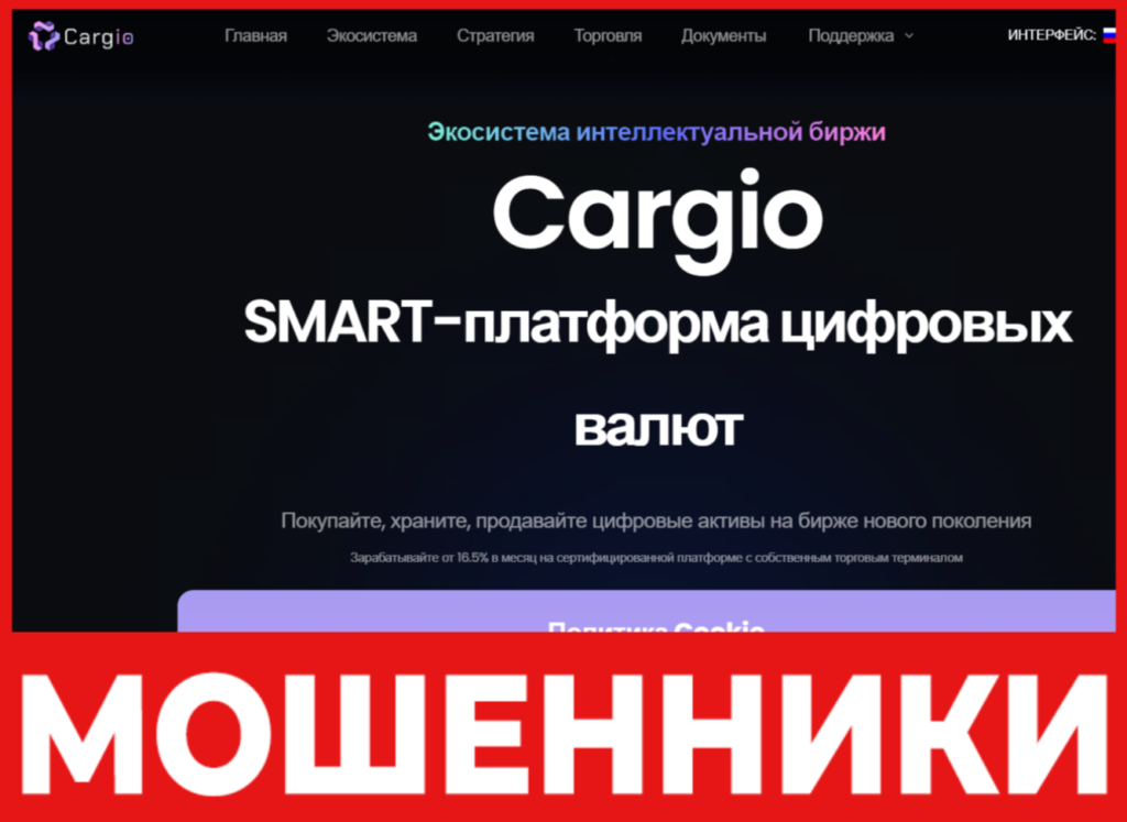 Cargio лицевая сторона скрин