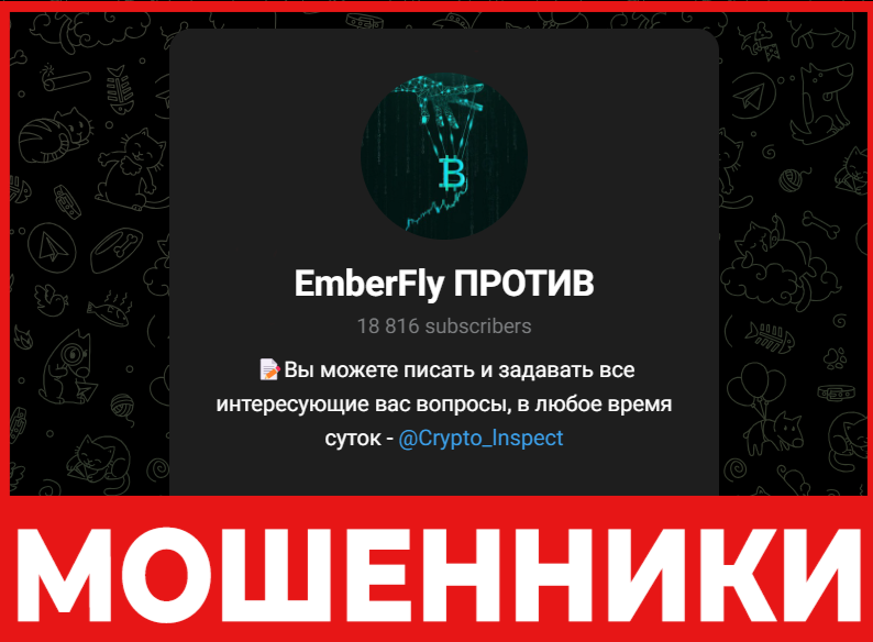 EmberFly лицевая сторона скрин