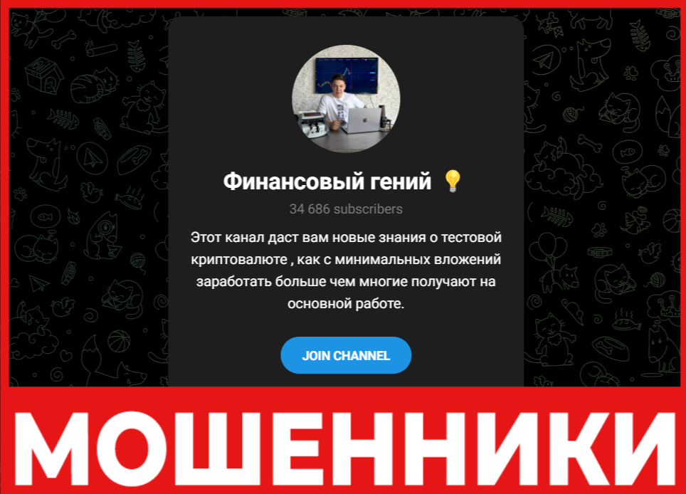 Финансовый гений лицевая сторона скрин