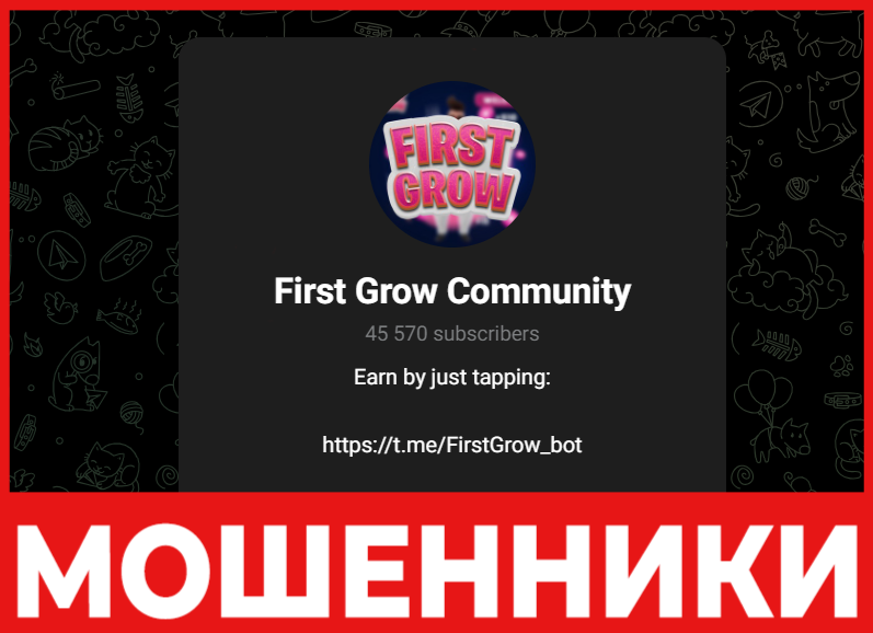 First Grow лицевая сторона скрин