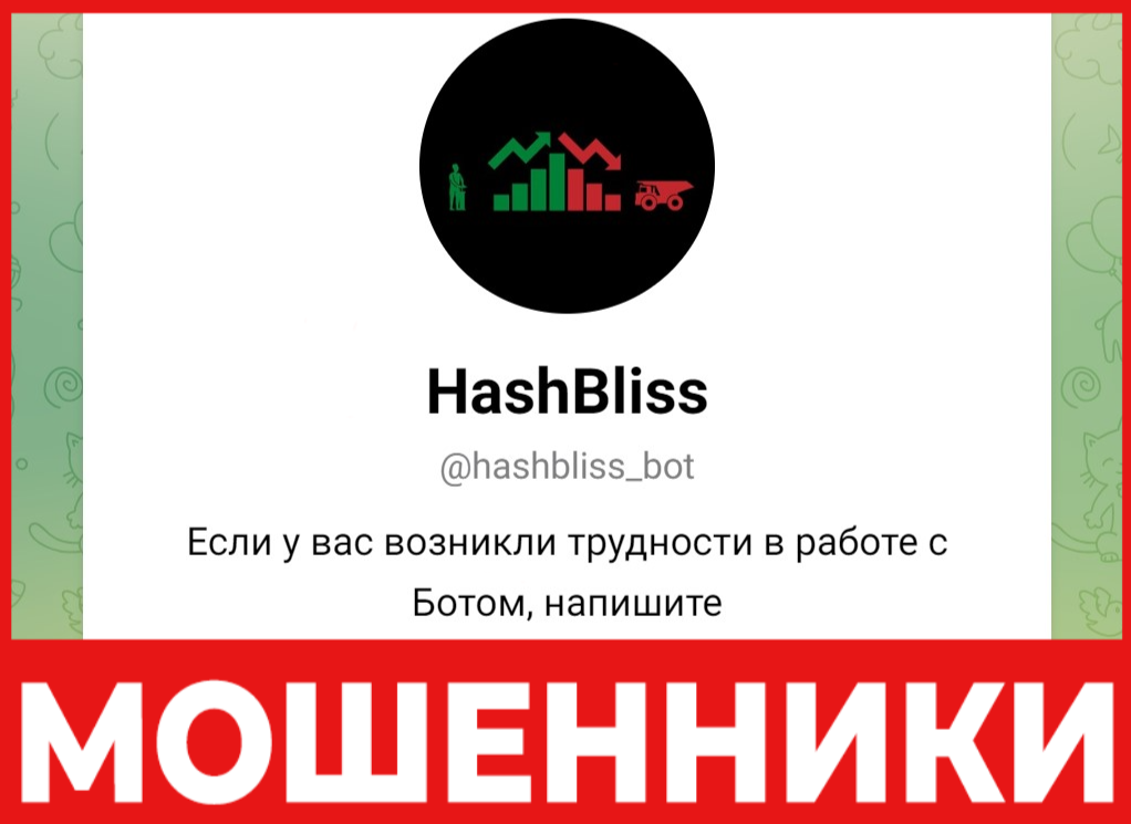 HashBliss лицевая сторона скрин