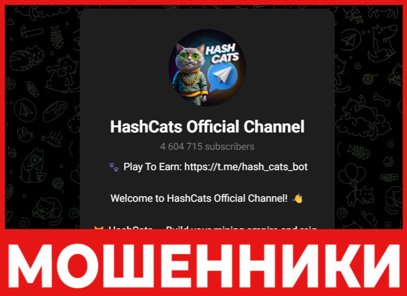 HashCats лицевая сторона скрин