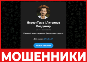 ИнвестТема Литвинов Владимир лицевая сторона скрин