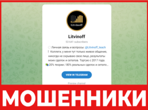 Litvinoff лицевая сторона скрин