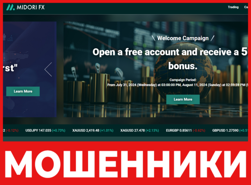 MIDORI FX лицевая сторона скрин