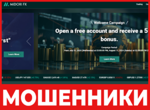 MIDORI FX лицевая сторона скрин