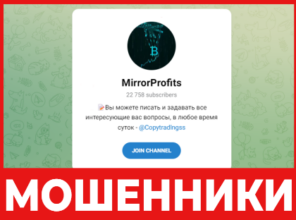 MirrorProfits лицевая сторона скрин