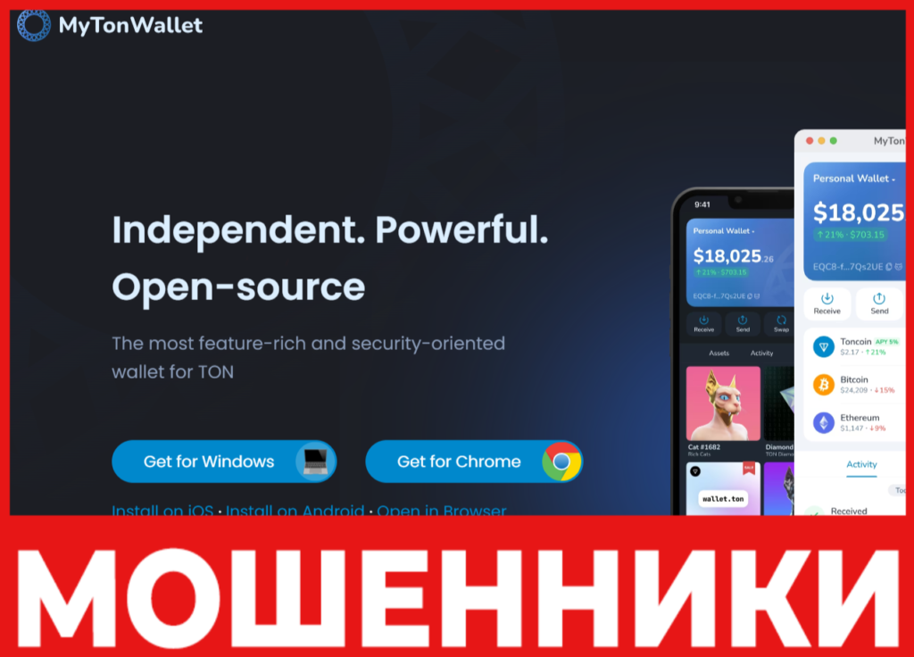 MyTonWallet лицевая сторона скрин