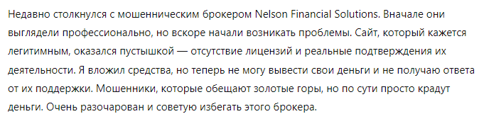 Nelson Financial Solutions 1 скрин